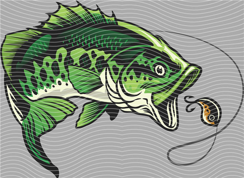 Fishing Series-DY 214